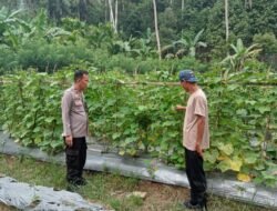 Bhabinkamtibmas Jajaran Polres Pesawaran Dukung Ketahanan Pangan Nasional Lewat Monitoring Lahan Pekarangan dan Peternakan Warga