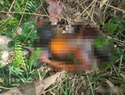 Geger Penemuan Mayat Pria di Sungai Kebagusan, Polsek Gedong Tataan Bergerak Cepat Lakukan Penyelidikan