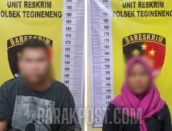 Gondol Harta Orang Tua, Sepasang Pasutri di gelandang ke Polsek Tegineneng, Kerugian Capai 43 juta 