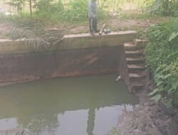 Pencurian Ikan Air Tawar Marak di Pagelaran, Petani Rugi Puluhan Juta Rupiah dan Desak Aparat Bertindak Tegas