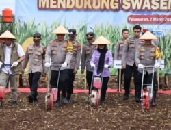 Dukung Program Swasembada Jagung Nasional, Polda Lampung Bersama Polres Pesawaran Ikuti Penanaman Jagung Serentak Kuartal I yang Dipimpin Kapolri