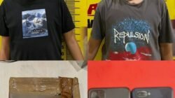 Polres Pesawaran Ungkap Peredaran Narkotika di Tegineneng, Dua Pelaku Diamankan Bersama Barang Bukti Ganja