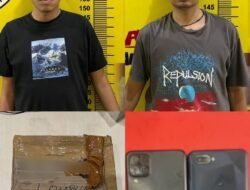 Polres Pesawaran Ungkap Peredaran Narkotika di Tegineneng, Dua Pelaku Diamankan Bersama Barang Bukti Ganja