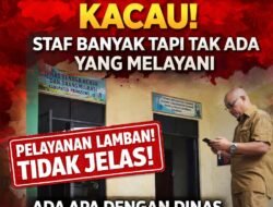 Disnaker Pringsewu Disorot, Pelayanan Pengurusan ID PMI Dinilai Lamban dan Tidak Efektif