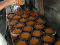 Meresahkan Konsumen, Dugaan Produksi Gula Aren Oplosan di Pesawaran Tuai Sorotan