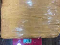 Polda Lampung Ungkap Peredaran Ganja 1 Kilogram, Tiga Pria Diamankan